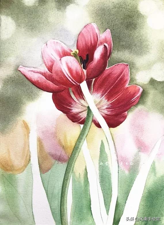 怎么用水彩笔画郁金香教程,粉色水彩郁金香怎么画图片