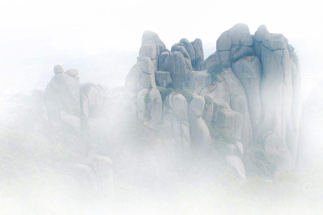 你知道的安吉白茶,有关福鼎白茶的资料