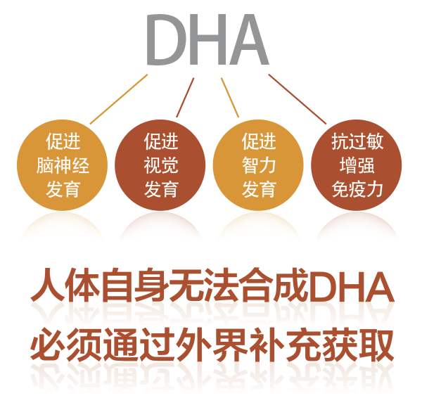 怀孕之后多久可以补铁,怀孕后多长时间开始补充钙和DHA