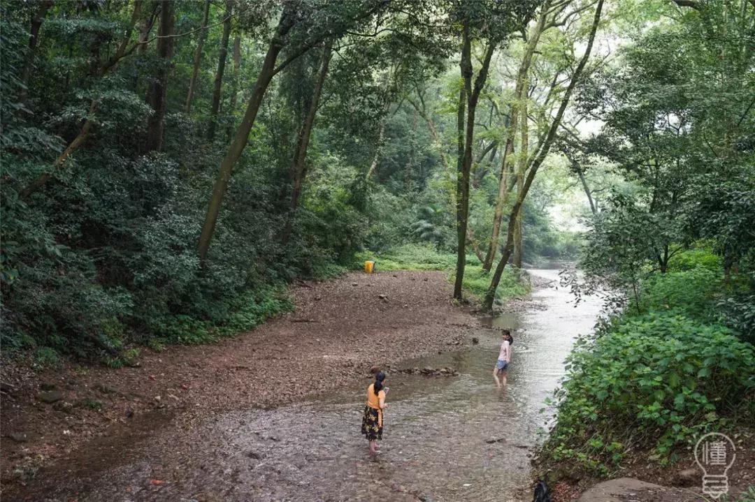 成都耍水露营避暑的景点推荐,热得冒烟的天气