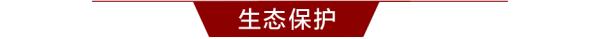 天河机场再升级、植树造林“超标”，2019年武汉这些民生承诺兑现了