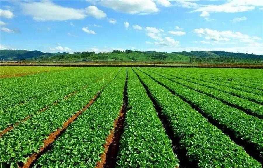 署名文章丨夏明:抢抓机遇真抓实干在建设“三个示范区”上作出泸西贡献