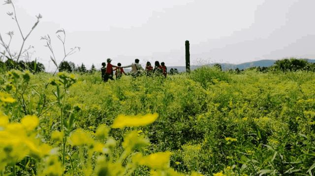 几个闺蜜自驾游的视频,一群闺蜜旅行视频