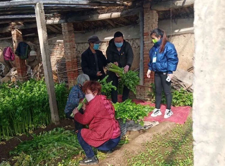 感动疫情英雄人物事件视频,疫情期间十个感动人物事迹