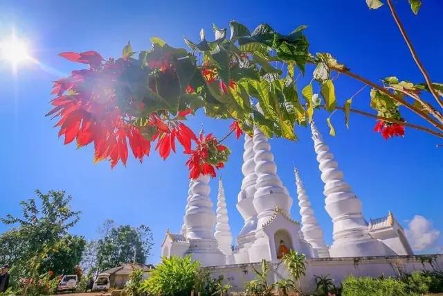 过年了你的爱车清洗了吗,新春要把你的爱车打扮美美的