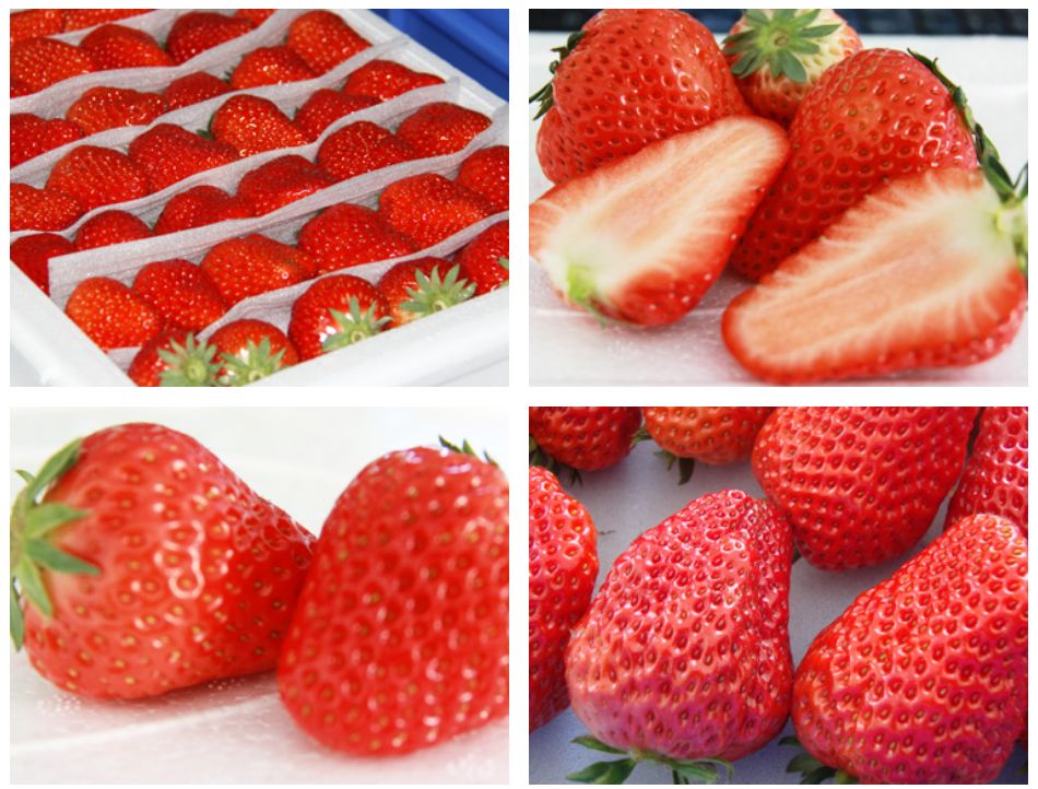 辽宁葫芦岛特产有哪些,辽宁特产有哪些值得带去的