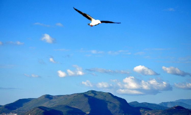 深秋的私语,美文美图经典欣赏