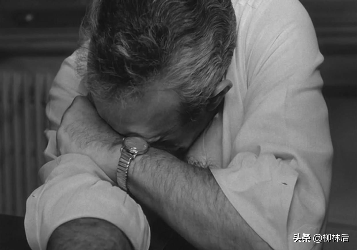 璞嗙摚鐢靛奖鐢熸棩蹇箰,璞嗙摚2022骞寸數褰辨帓琛屾top10