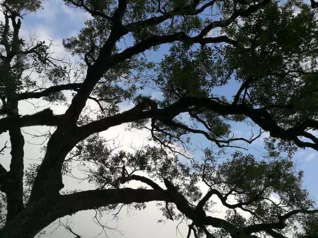 厦门翔安春游踏青好去处,厦门五一周边古镇古村旅游攻略