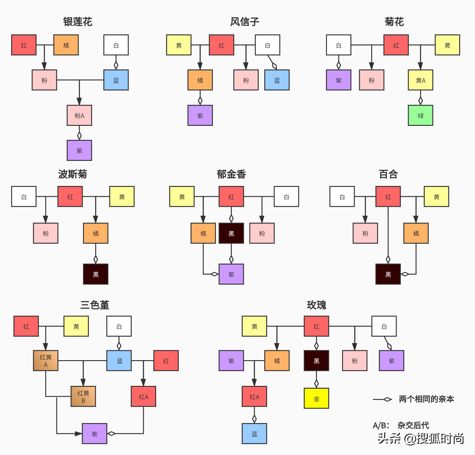 年收入20万的真实故事,21个真实故事