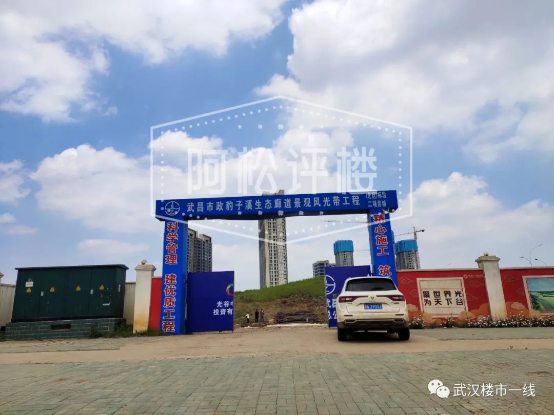 开挂了！比肩世界的爆款区域利好多到数不清！一般人已高攀不起