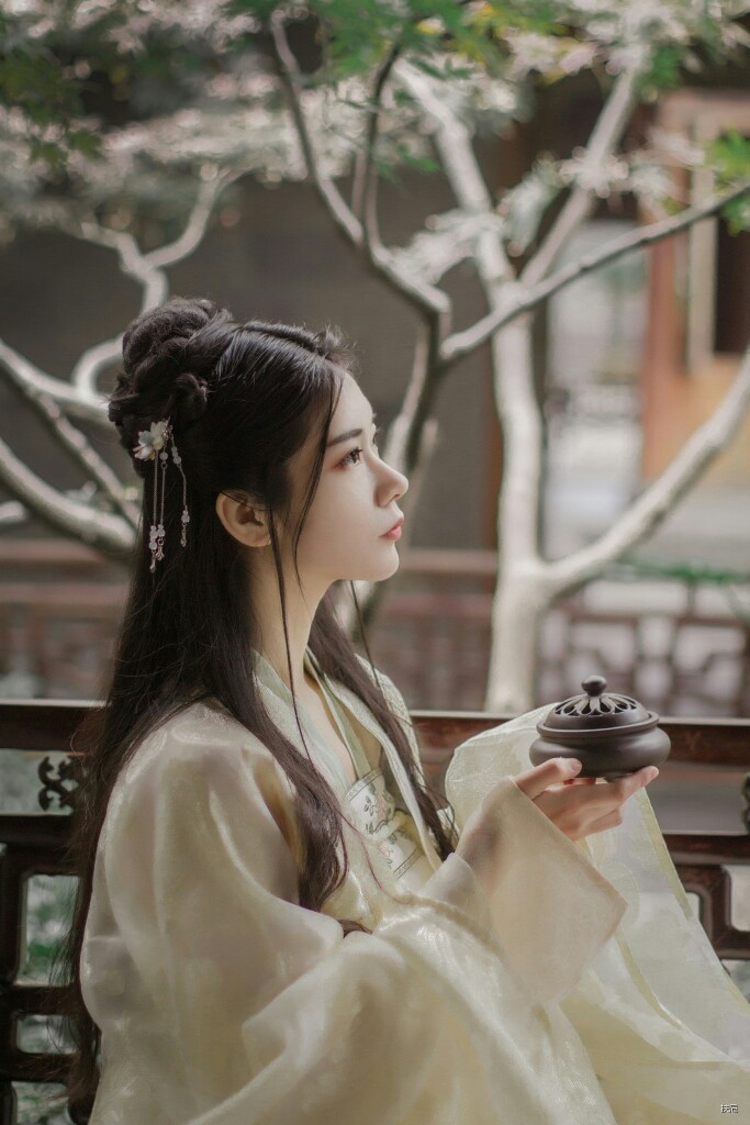 皇帝圣旨交出辅政大权，丞相一家家破人亡，穿越而来改变历史