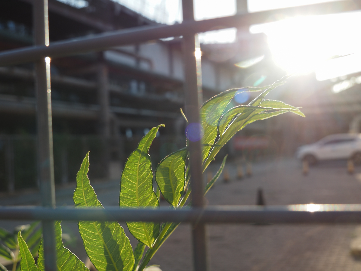 全球首测||精致全能型微单奥林巴斯E-M5MarkIII评测