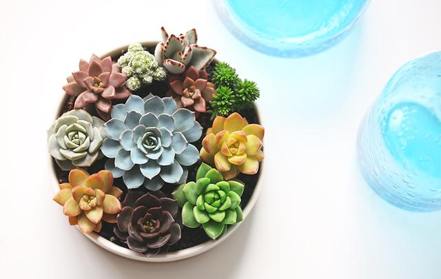 六月情感语录短句,五月的心灵鸡汤句子