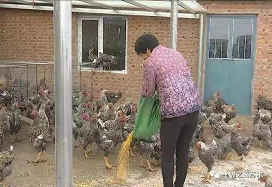 脱贫致富路上的巾帼能手——记赤峰市巴林右旗幸福之路苏木胜利村刘淑凤事迹