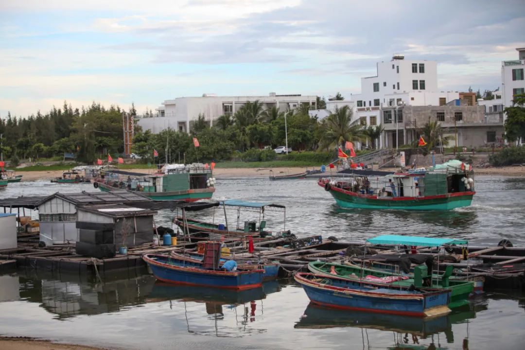 开海季都有什么海鲜,开海了这些生猛海鲜