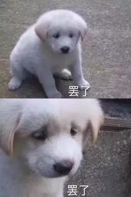 买二手练手车有必要吗,3-4万买个二手车练手有必要吗