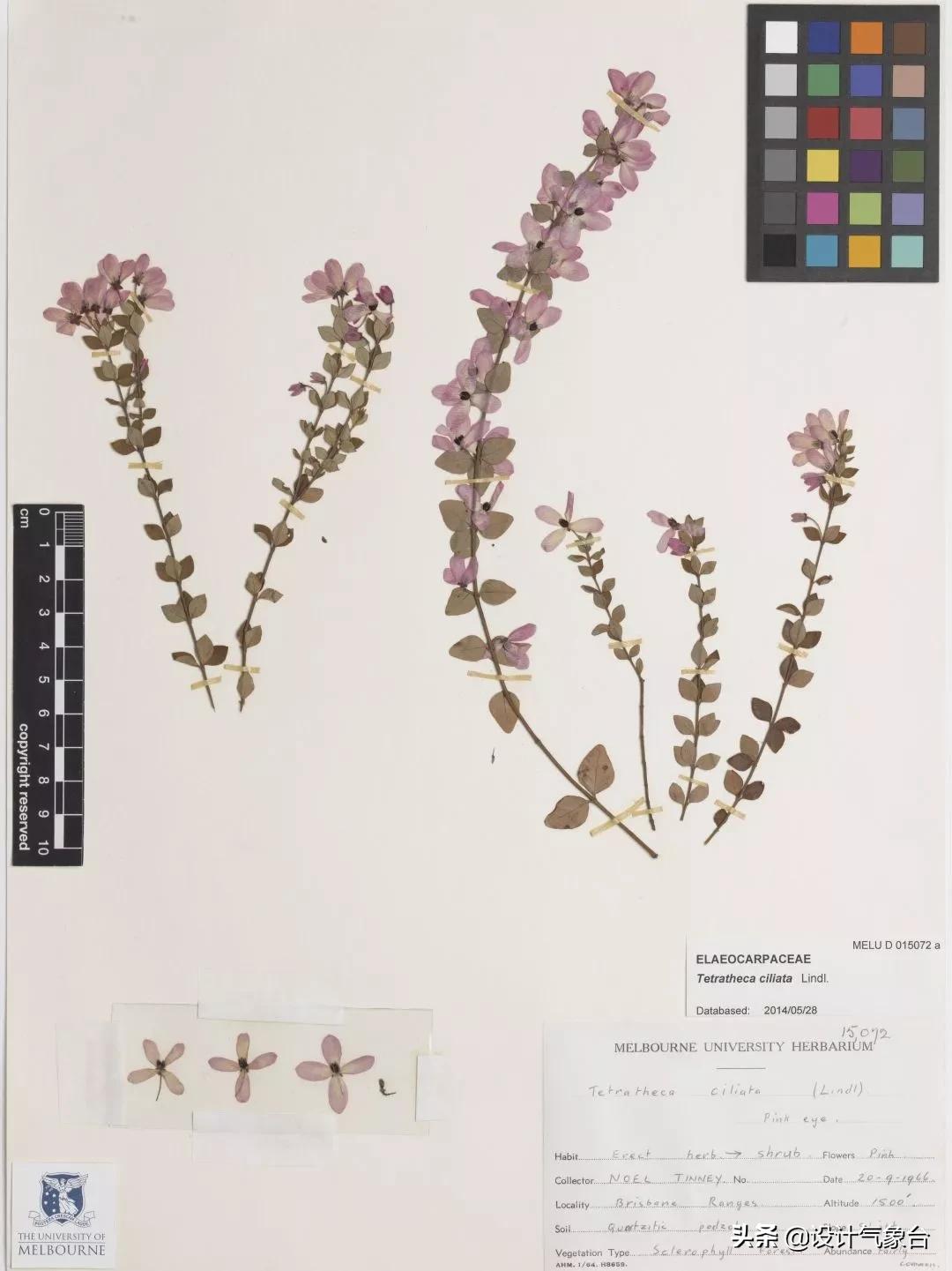 拼贴风效果图技巧,psd景观拼贴效果图教程
