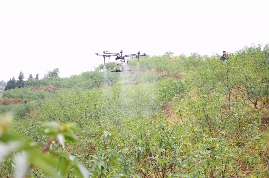 无人机产业助推农业,无人机致富商机