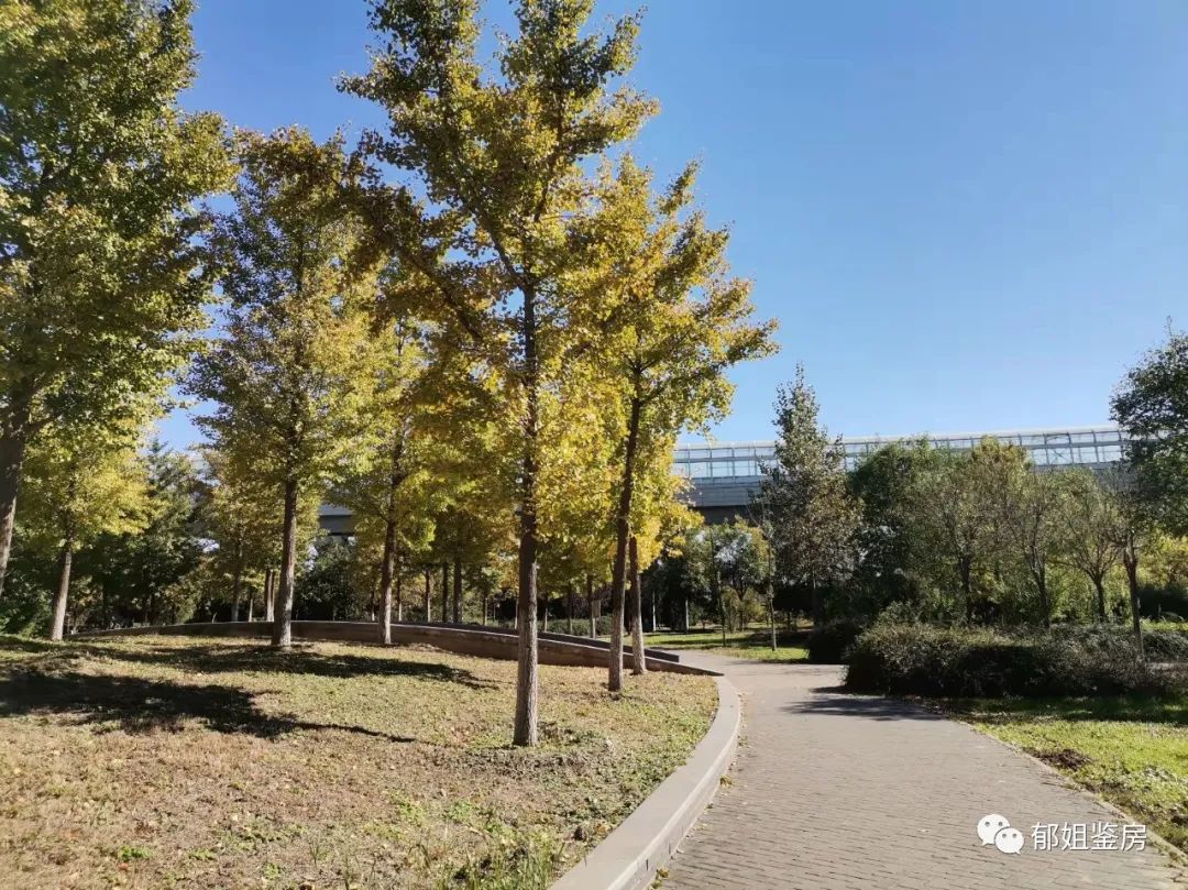 龙湖朱辛庄项目,龙湖朱辛庄地块