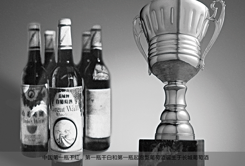 中粮集团在乌粮食基地,中粮集团粮仓有多少粮食