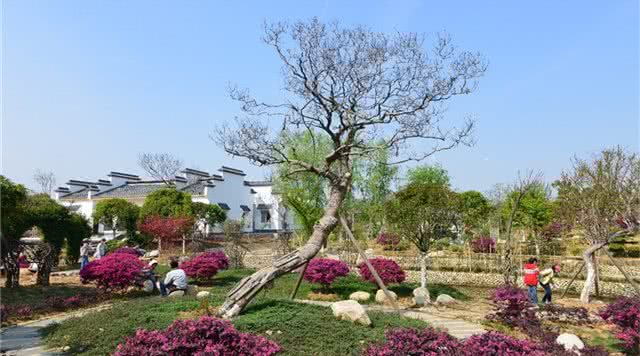 湖北度假村项目,湖北度假村航拍