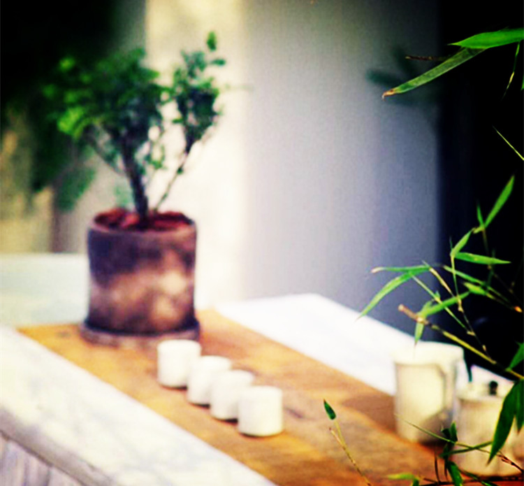 读书品茶香听雨悟人生,闲时看看书品茶是人生最大的享受