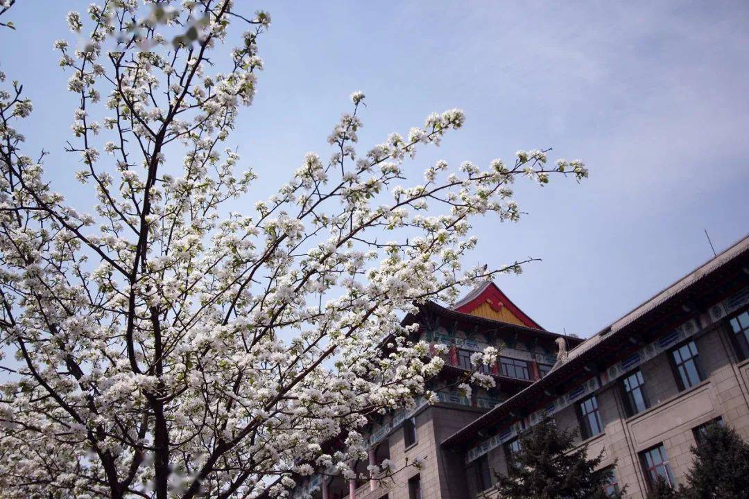 哈尔滨各高校特点搞笑版,搞笑大学学校名称