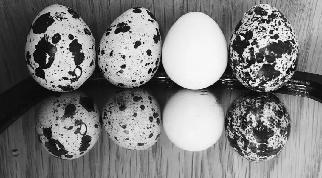 美白牙膏去牙黄真实有效测评,美白牙膏真实测评护牙效果