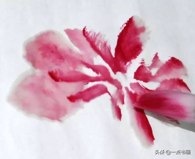 王绣写意牡丹画法步骤,王兮然写意牡丹画法视频大全