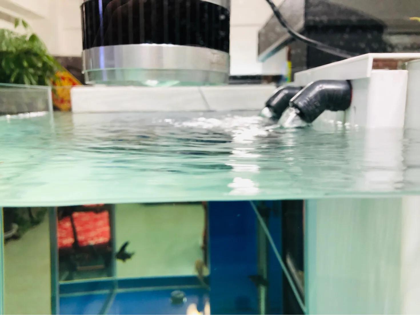 怎么用滤材做奶糕,用滤材做奶糕的做法