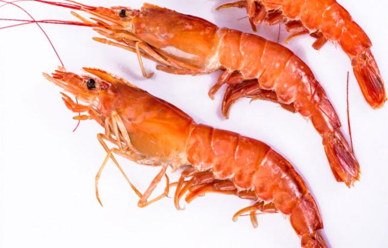 鲜活阿根廷红虾,阿根廷红虾鲜嫩多汁