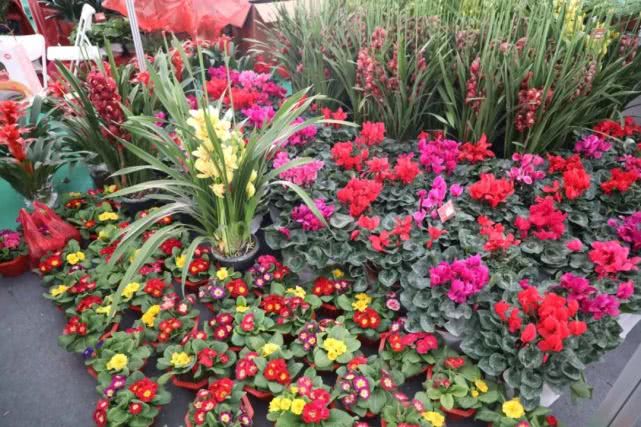 金沙滩啤酒城年货节,金沙滩啤酒城年货节图片