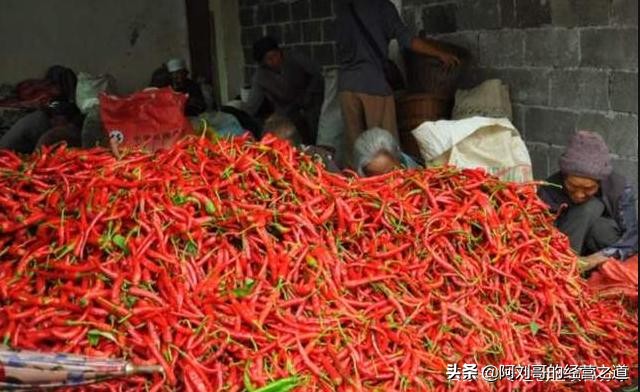 创业好项目课堂,赚钱快成本低的17种创业项目见效