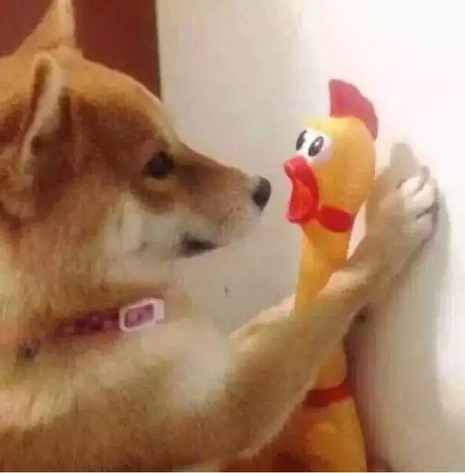 这位太太请你出去表情包,太太微信表情包