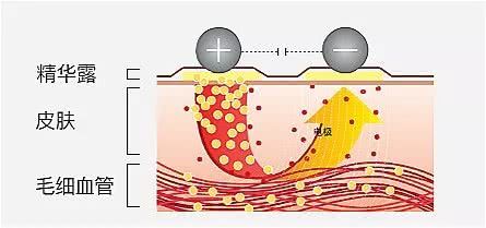 初普射频美容仪测评,家用射频美容仪哪个品牌最好