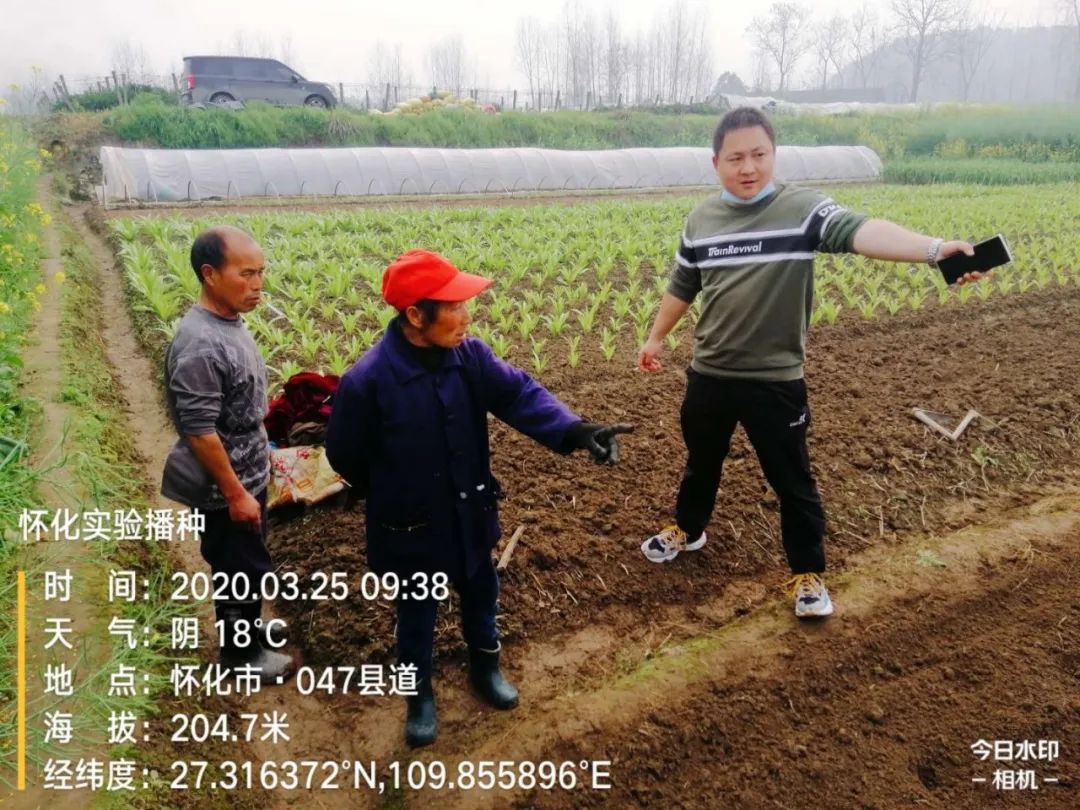 正大种业有哪几个,正大种业县级代理商