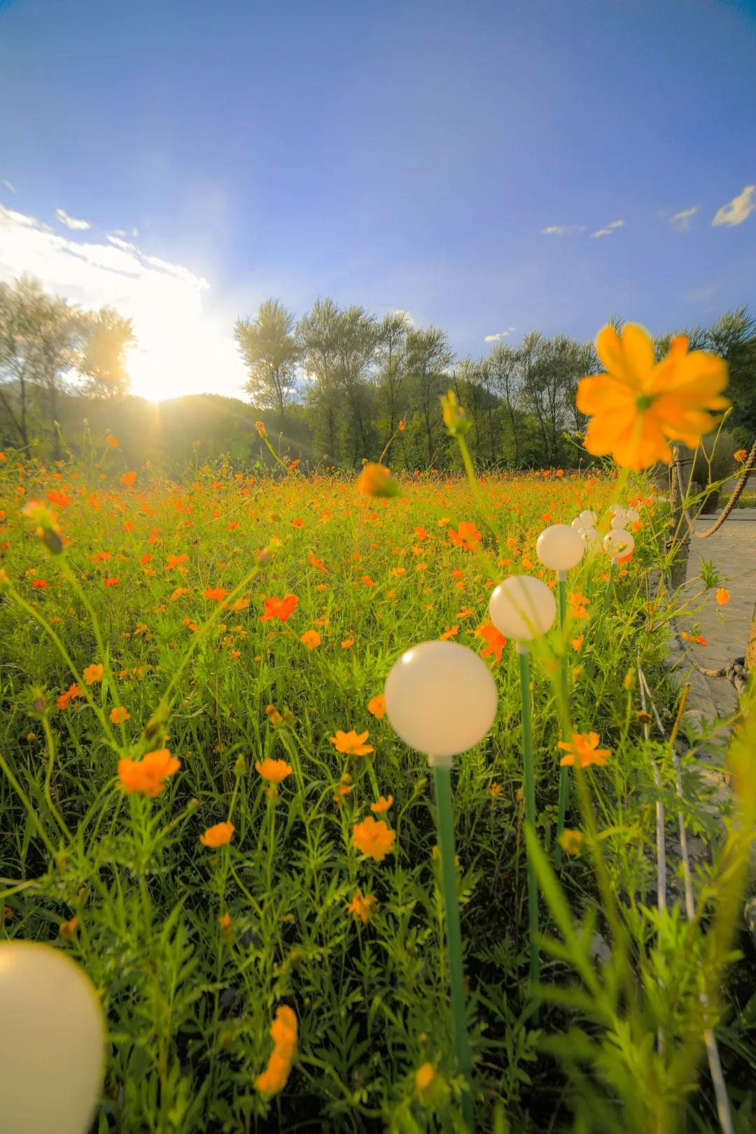 安逸走四川达州,四川好安逸