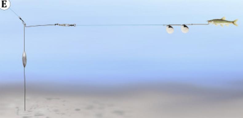 路亚滑漂搓饵钓各种各样大鱼,路亚无铅钓组钓大水面