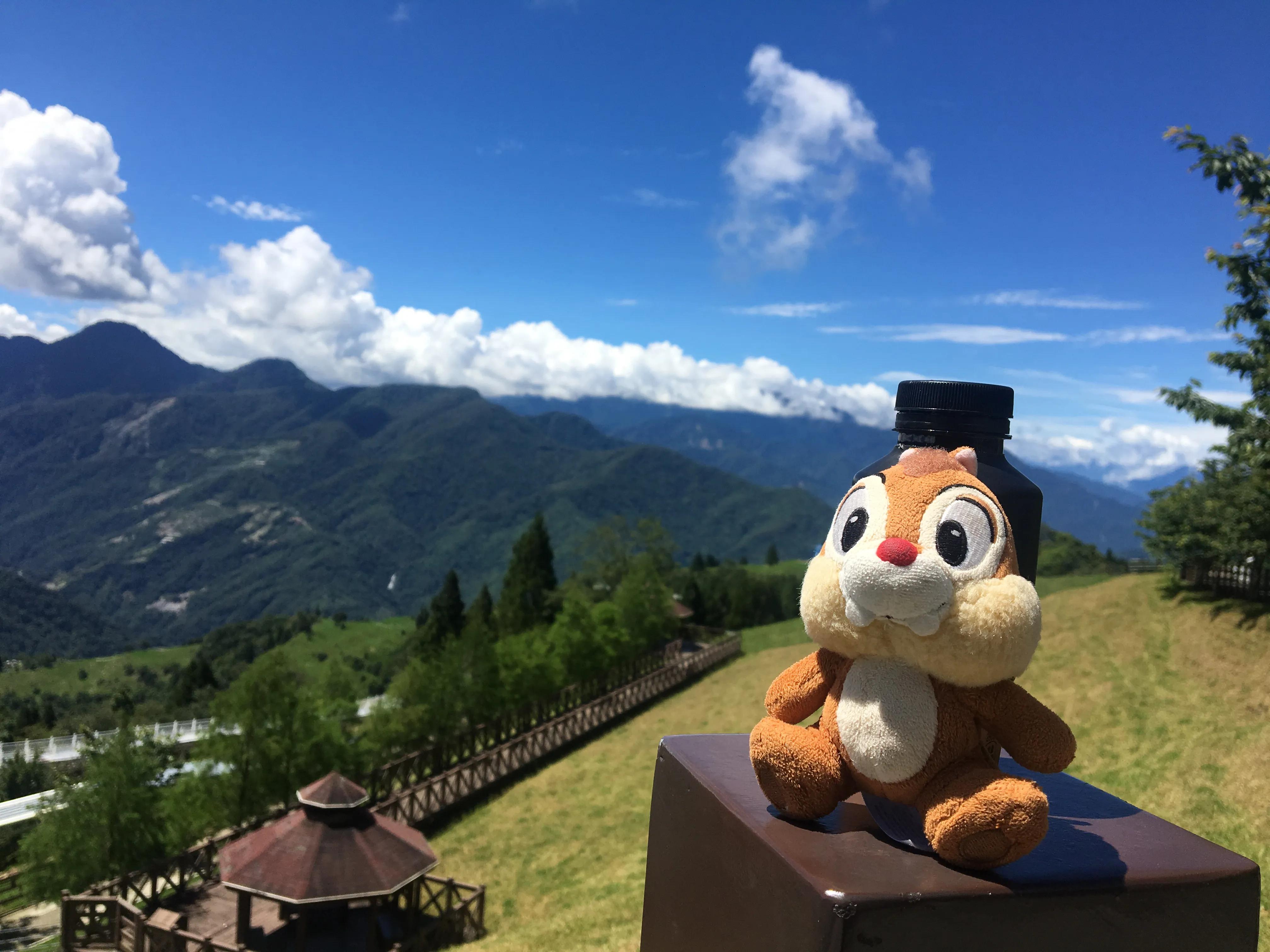 台湾篇之清境农场的樱花