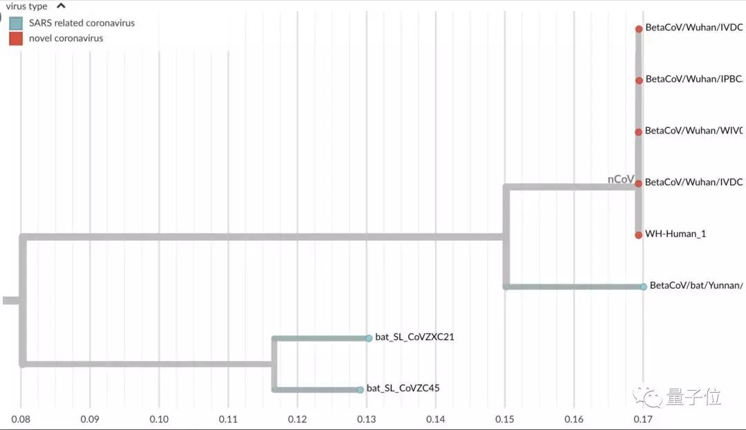 新冠病毒是谣言吗,新冠病毒来自太空是怎么来的