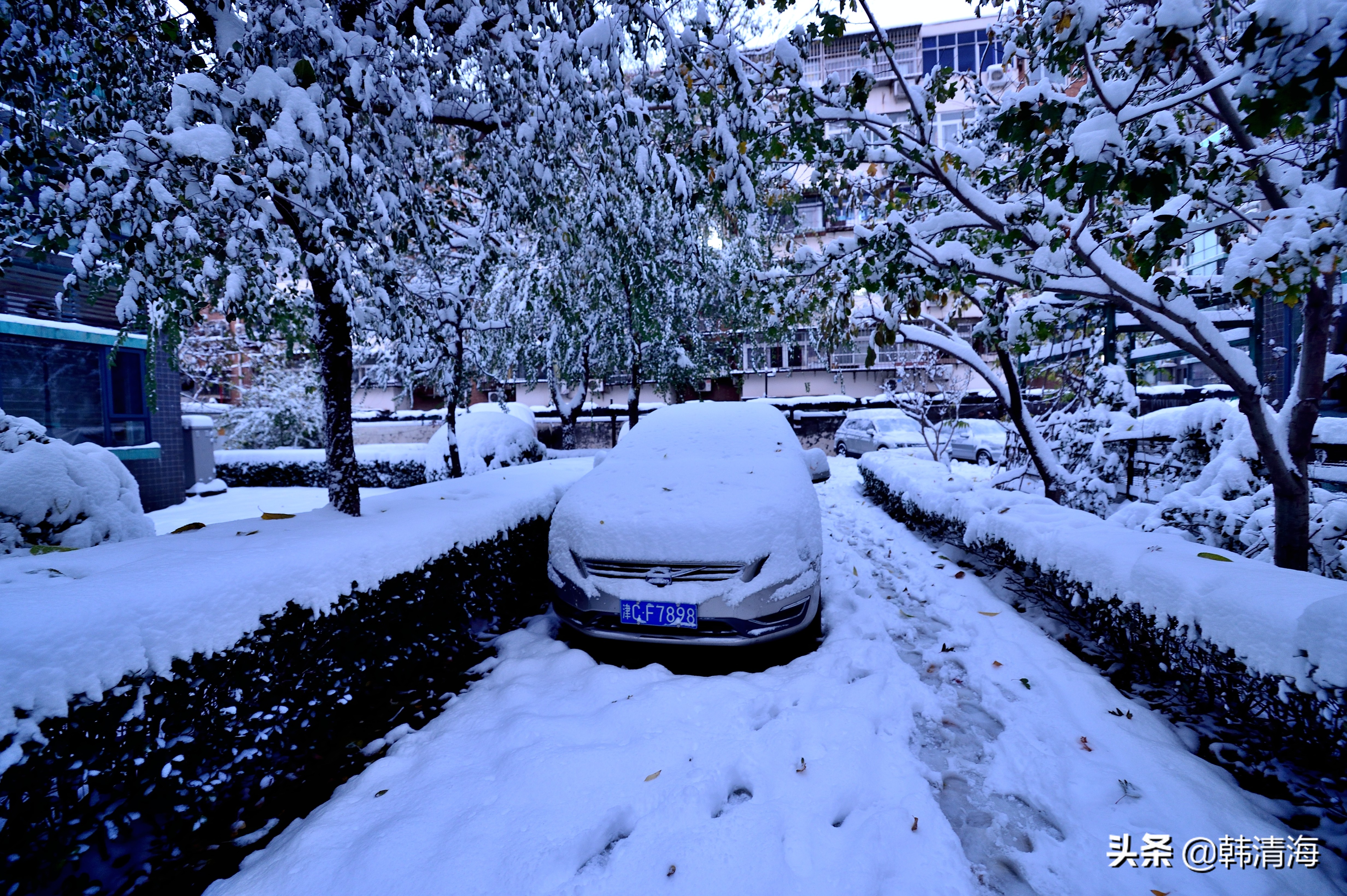 2021天津第一雪水畔花园小区装扮得更加圣洁和美丽