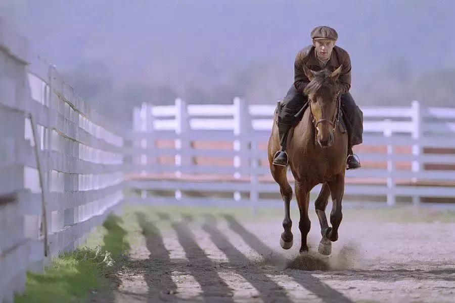 无马不自由！22部“有马”的电影，请盘住