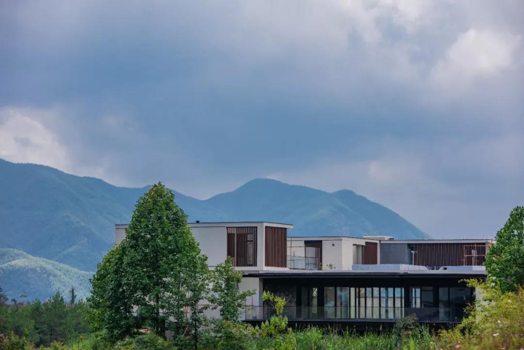 绿城桃花源的特点,绿城桃花源未来山