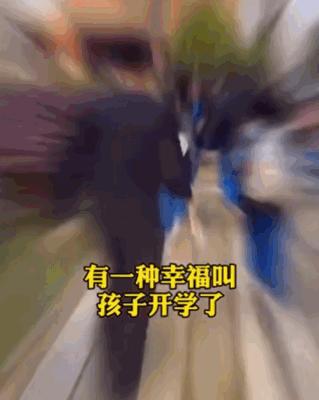 南山区外国语学校（集团）VS太子湾育才、深圳湾学校孰优孰劣