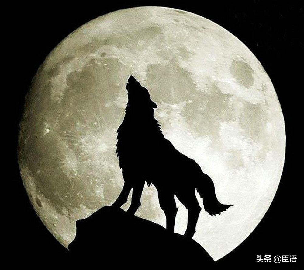 上古三大奇书之山海经,上古奇书山海经里的奇珍异兽