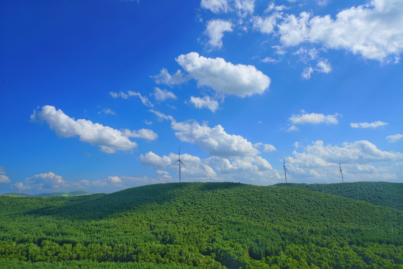 如何对付炎热的高温,炎炎夏日应对冬天