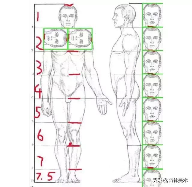 最全的速写的理论知识,速写最快学会