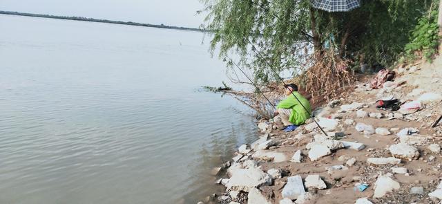 邕江野钓牛尾巴鱼,黄河半碗水半碗沙