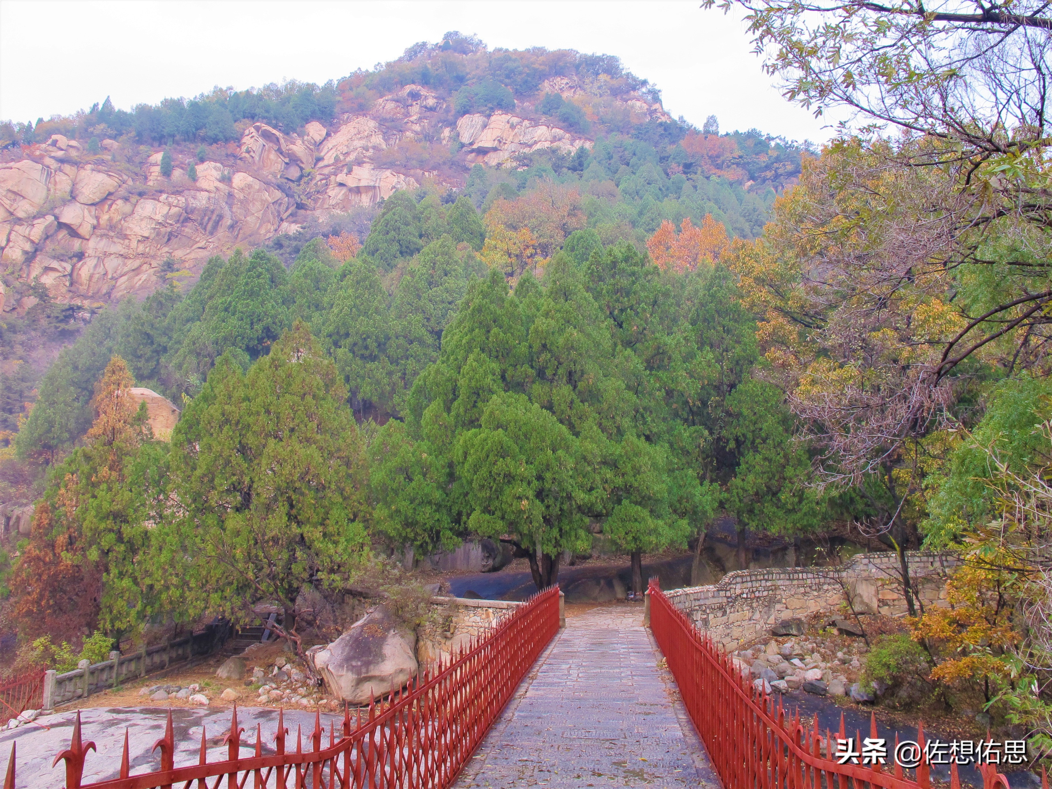 泰安扇子崖免门票吗,扇子崖门票多少钱